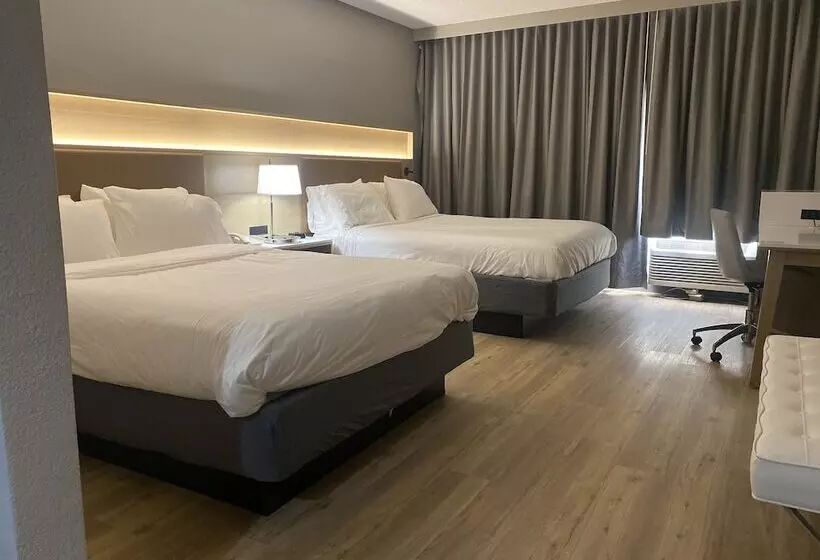 ２ダブルベッドのスタンダードルーム, Radisson Hotel Casa Grande