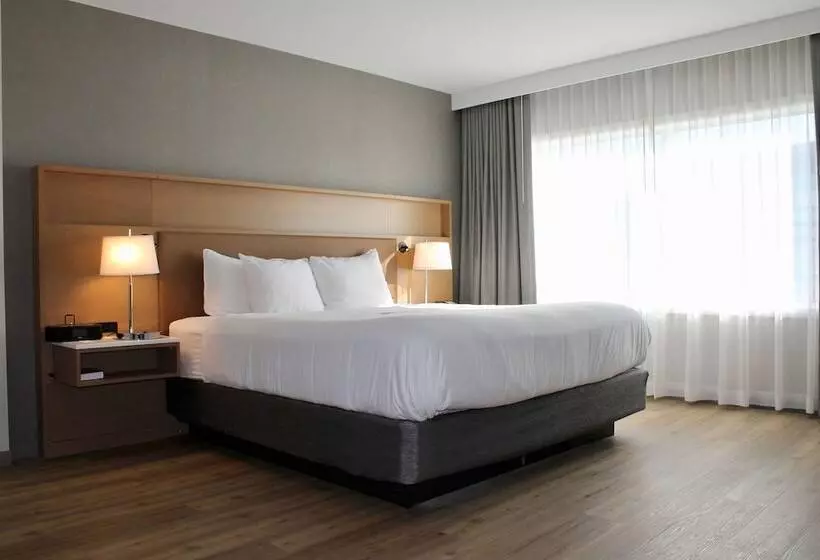 身障者適用スイートルーム, Radisson Hotel Casa Grande