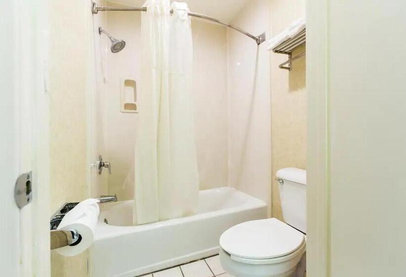 غرفة قياسية سرير كينج, Silver Lake