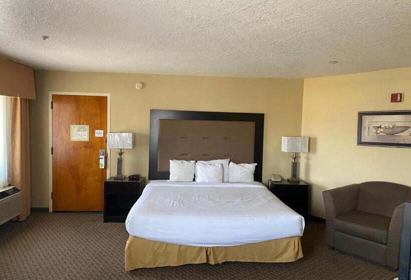 غرفة قياسية سرير كينج لذوى الإحتياجات الخاصة, Silver Lake