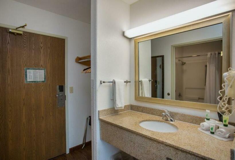 キングサイズベッドのスタンダードルーム, Vagabond Inn Executive