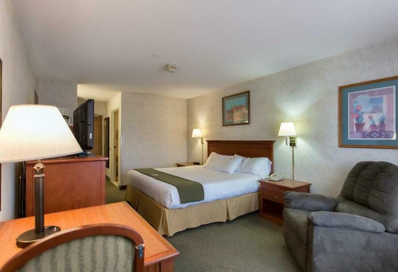 キングサイズベッドのスタンダードルーム, Vagabond Inn Executive