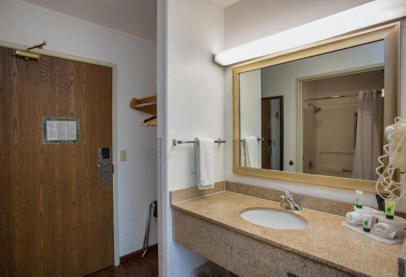 身障者適用キングサイズベッドルーム, Vagabond Inn Executive