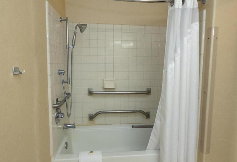 身障者適用キングサイズベッドルーム, Vagabond Inn Executive