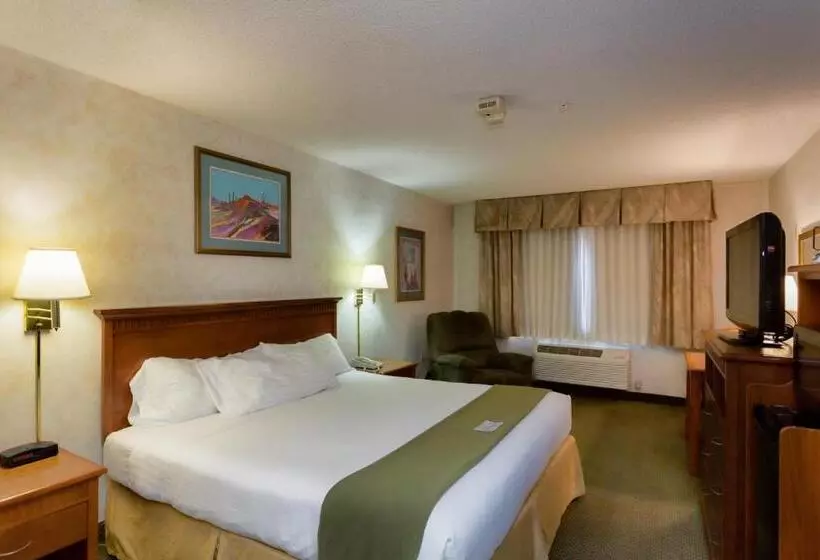 身障者適用キングサイズベッドルーム, Vagabond Inn Executive