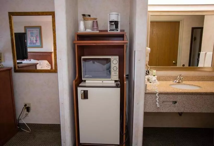 身障者適用キングサイズベッドルーム, Vagabond Inn Executive