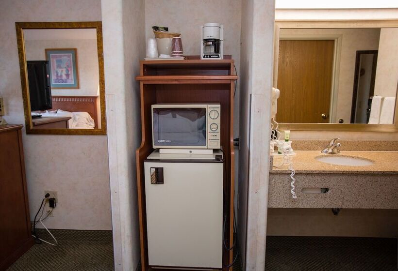 スタンダードルーム, Vagabond Inn Executive