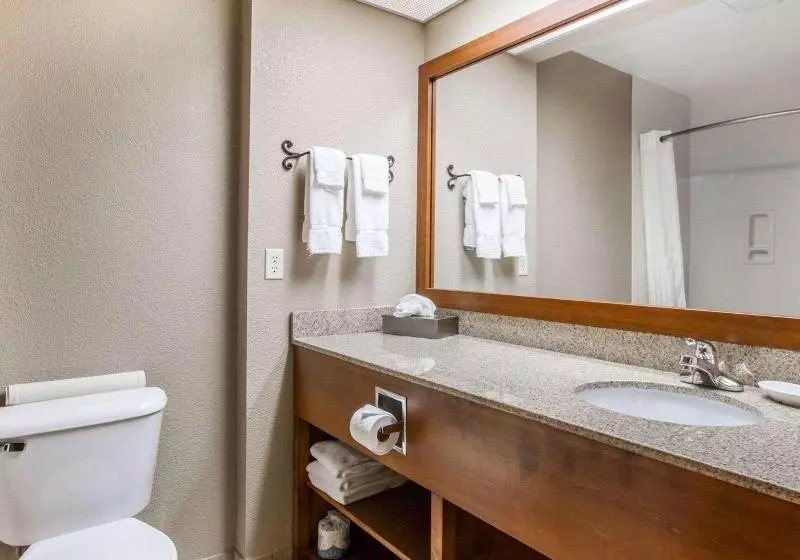 キングサイズベッドのスタンダードルーム, Comfort Inn Benson Near Kartchner Caverns