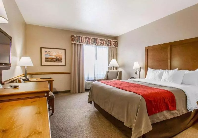 キングサイズベッドのスタンダードルーム, Comfort Inn Benson Near Kartchner Caverns