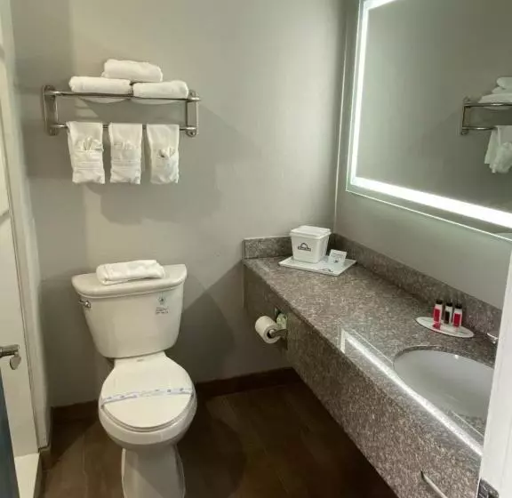 キングサイズベッドのデラックスルーム, Days Inn By Wyndham Rockport Texas