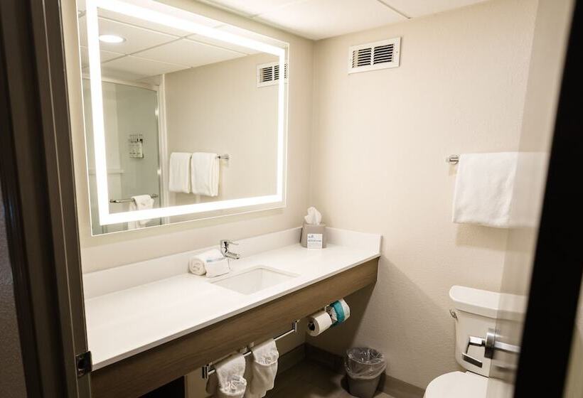 غرفة قياسية, Holiday Inn Express Hotel & Suites Knoxville North I 75 Exit 112, An Ihg