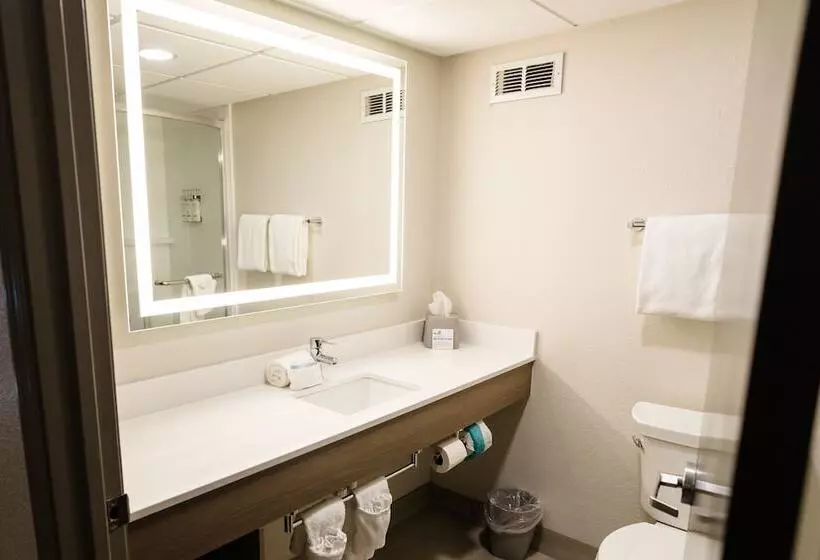 スタンダードルーム, Holiday Inn Express Hotel & Suites Knoxville North I 75 Exit 112, An Ihg
