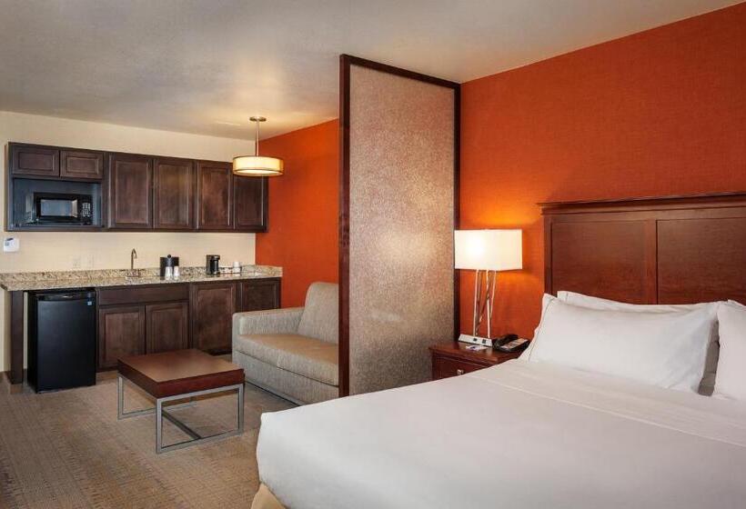 غرفة ديلوكس سرير كينج, Hampton Inn Pullman