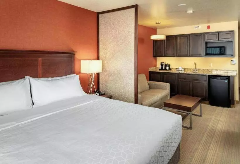 Cameră Deluxe Pat King Size, Hampton Inn Pullman