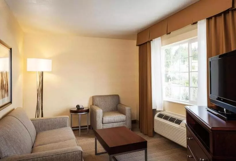 Suite, Hampton Inn Pullman