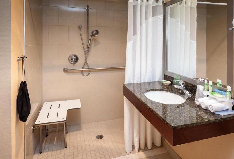 غرفة قياسية سرير كينج لذوى الإحتياجات الخاصة, Hampton Inn Pullman