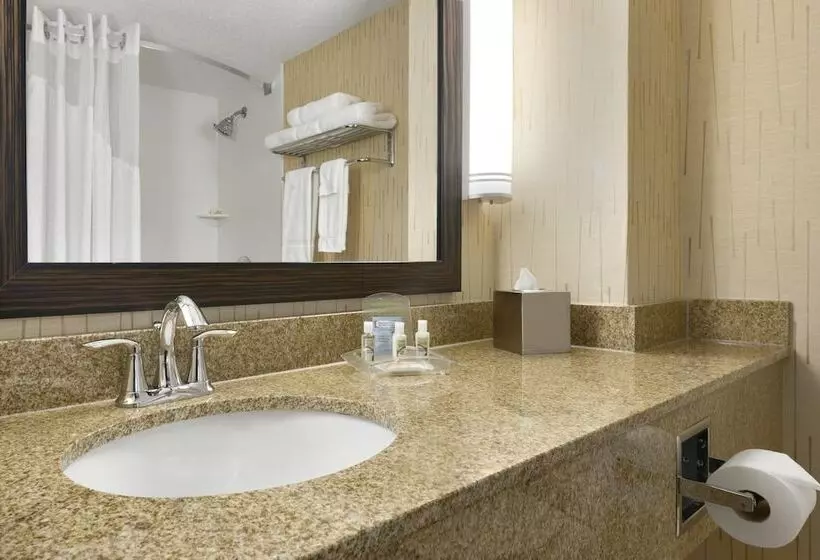 ２ダブルベッドのスタンダードルーム, Holiday Inn & Suites Duluth Downtown, An Ihg
