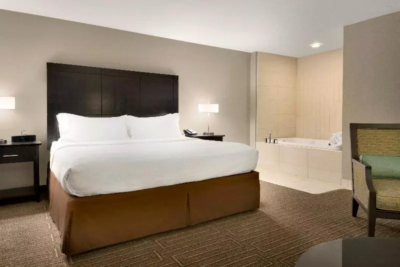 キングサイズベッドのスイートルーム, Holiday Inn & Suites Duluth Downtown, An Ihg