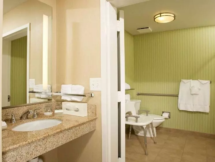 سوئیت برای معلولان, Homewood Suites By Hilton Alexandria / Pentagon South