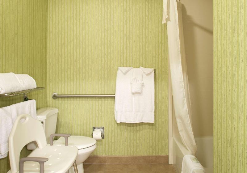 스위트 킹사이즈 침대, Homewood Suites By Hilton Alexandria / Pentagon South