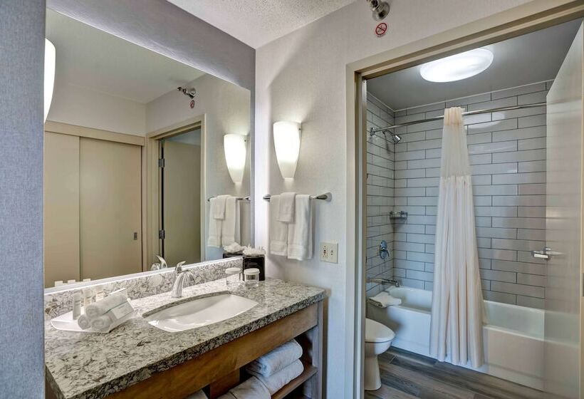 Suite, Homewood Suites By Hilton Chicagodowntown