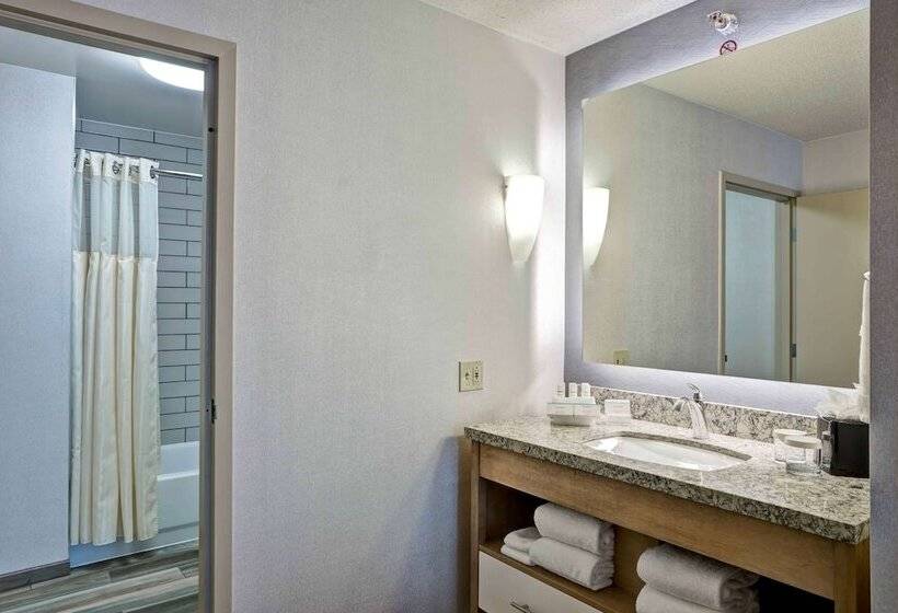 استودیوی استاندارد با تخت دوبل, Homewood Suites By Hilton Chicagodowntown