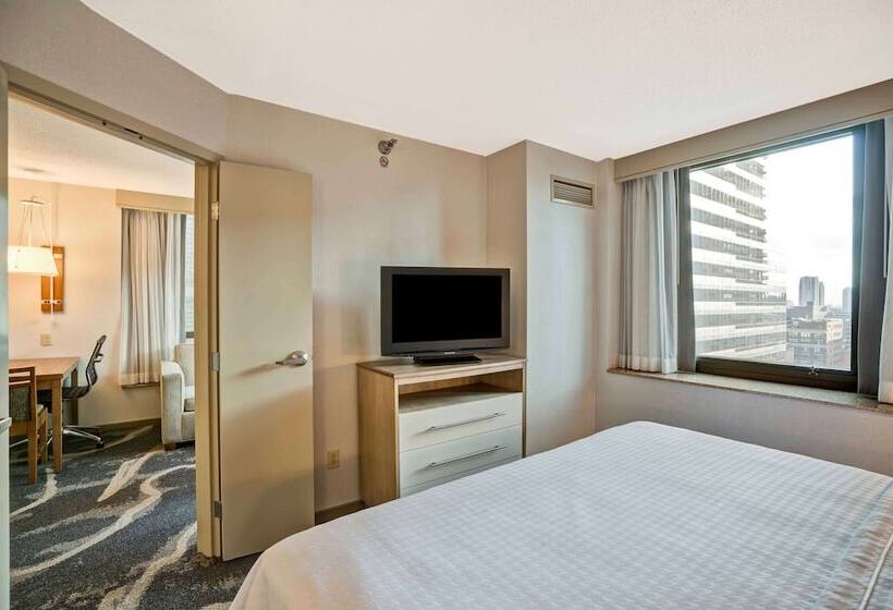 استودیوی استاندارد با تخت دوبل, Homewood Suites By Hilton Chicagodowntown