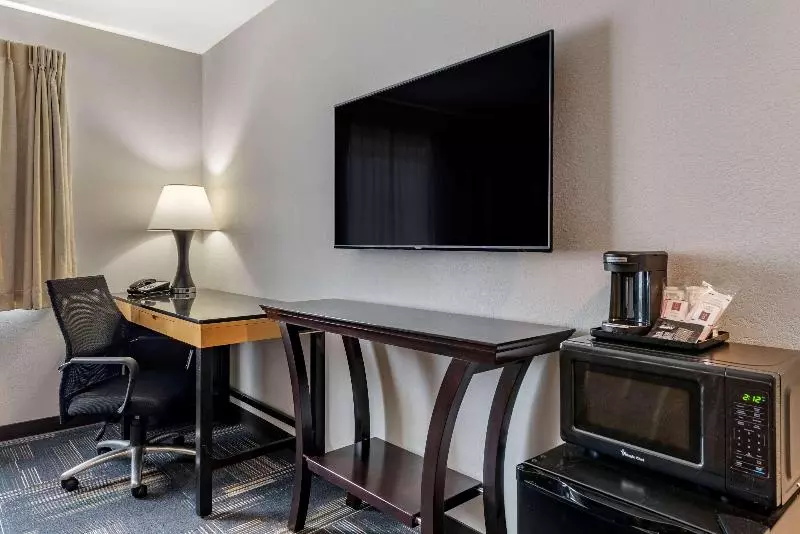 اتاق استاندارد با تخت دو نفره بزرگ برای معلولان, Radisson Hotel Grand Rapids Riverfront