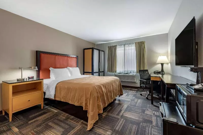 اتاق استاندارد با تخت دو نفره بزرگ برای معلولان, Radisson Hotel Grand Rapids Riverfront