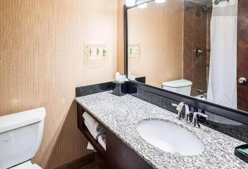 اتاق استاندارد با تخت بزرگ, The Grand Hotel, Ascend Hotel Collection