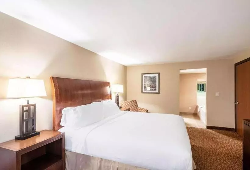 اتاق استاندارد با تخت بزرگ برای معلولان, The Grand Hotel, Ascend Hotel Collection