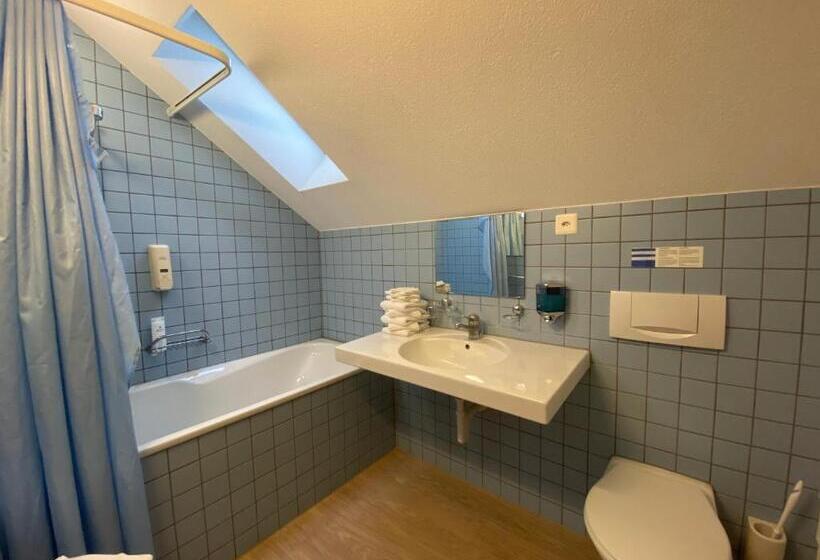 Deluxe Familie Værelse, Hirschen Hinwil