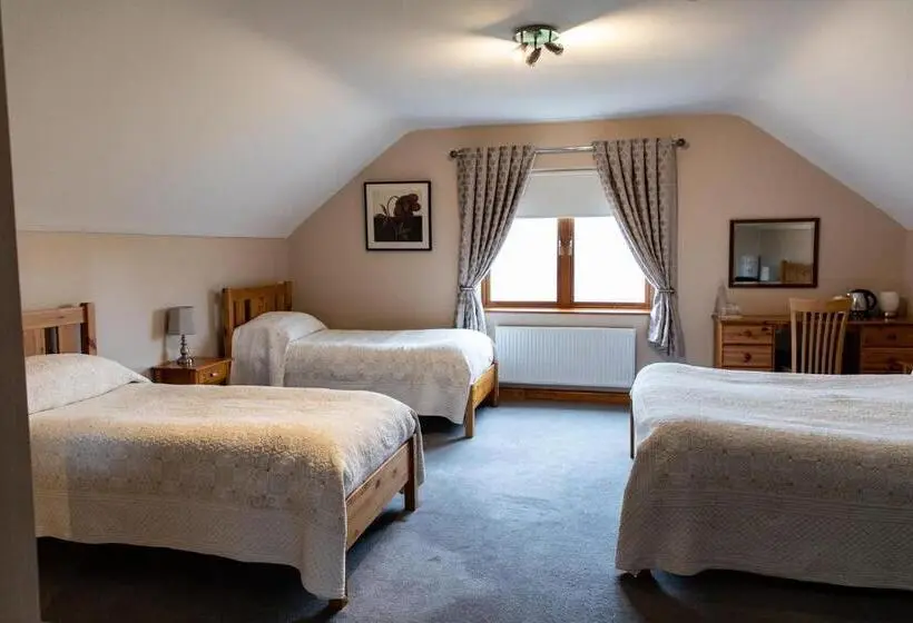 スタンダード4人部屋, Twin Peaks B&b