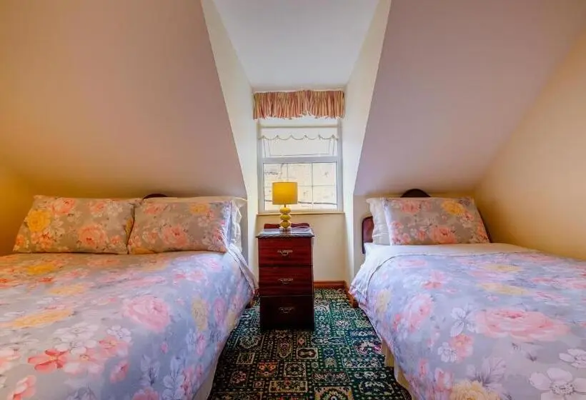 ベーシックルーム, Fallon S B&b