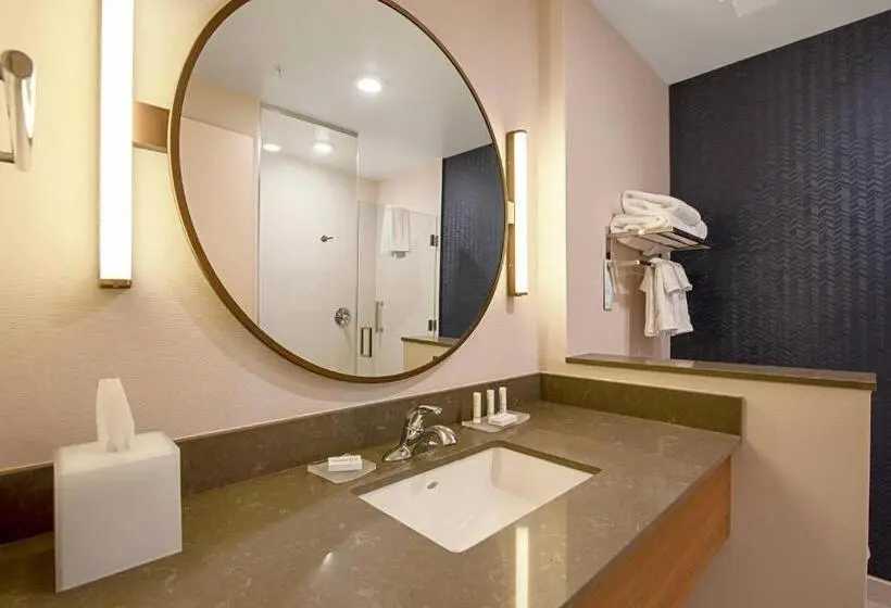 Sviitti King-vuode, Fairfield Inn & Suites By Marriott Duluth Waterfront