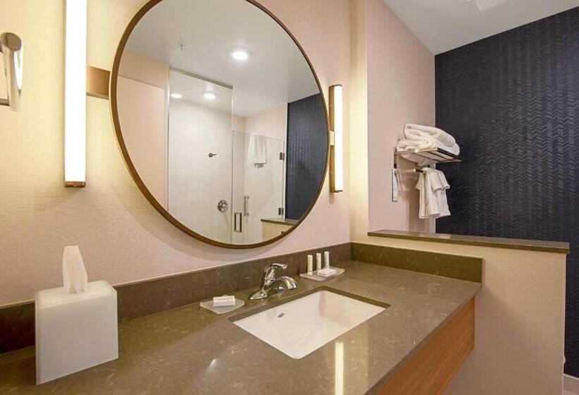 シングルデラックスルーム, Fairfield Inn & Suites By Marriott Duluth Waterfront