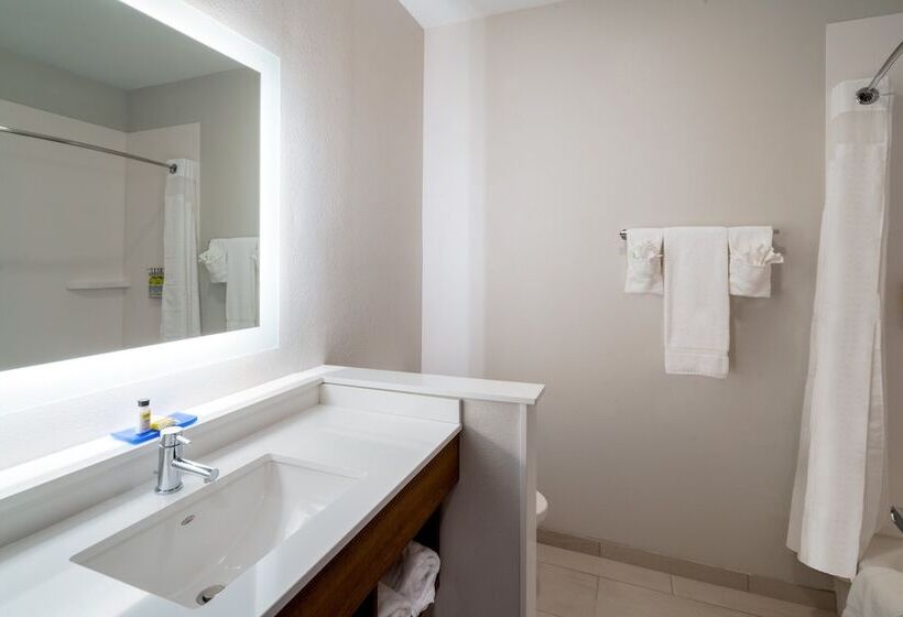 스탠다드 룸, Holiday Inn Express & Suites   St Peters, An Ihg