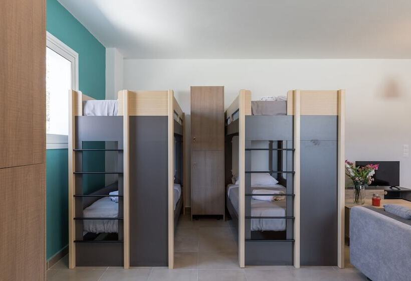 공동 객실, Local Hostel & Suites