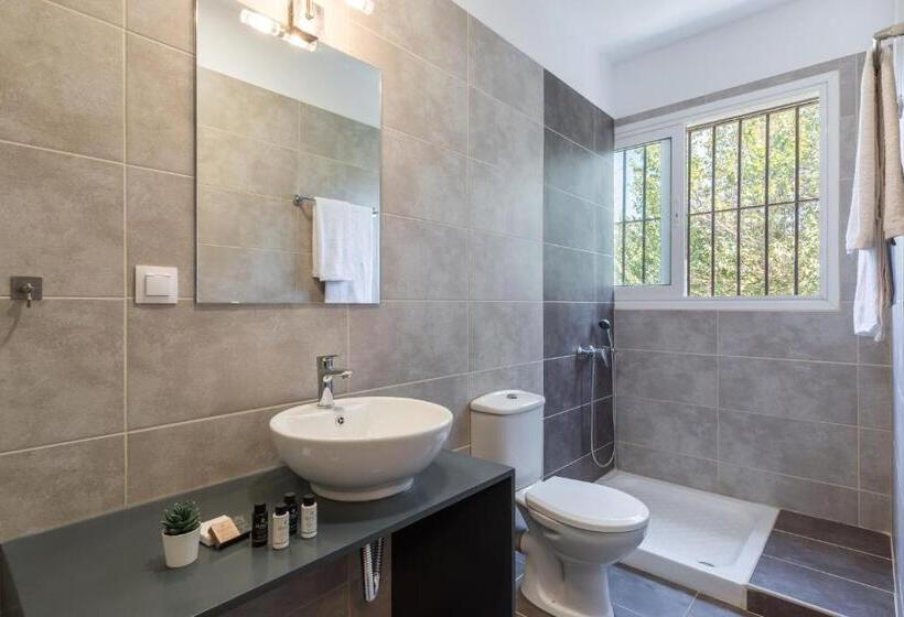 共用房间的床, Local Hostel & Suites