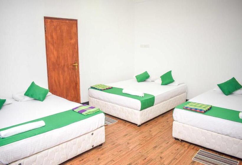 סוויטה משפחתית, Lion Resort