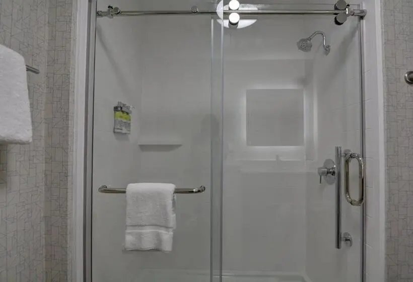 スイート, Holiday Inn Express & Suites   Greenville   Taylors, An Ihg