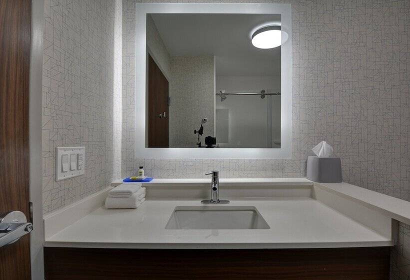套房, Holiday Inn Express & Suites   Greenville   Taylors, An Ihg