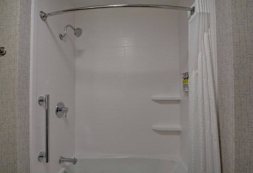 适合残疾人士使用的套间, Holiday Inn Express & Suites   Greenville   Taylors, An Ihg