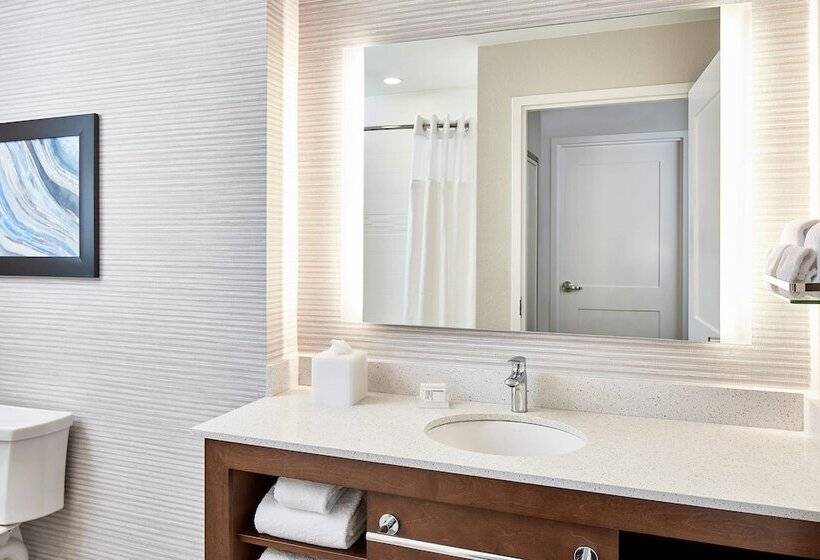 إستوديو قياسى سرير مزدوج, Residence Inn St. Petersburg Tierra Verde