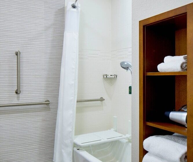 Студия Стандарт Двуспальная Кровать, Residence Inn St. Petersburg Tierra Verde