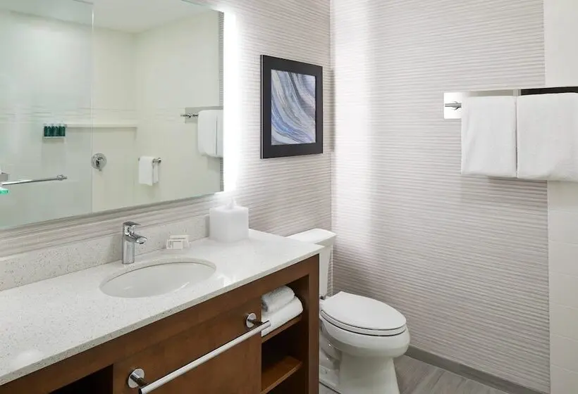 ダブルベッドのスタンダードスタジオ, Residence Inn St. Petersburg Tierra Verde