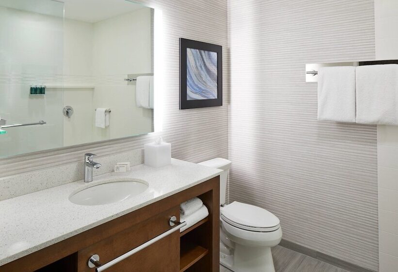 إستوديو قياسى ذو إطلالة, Residence Inn St. Petersburg Tierra Verde