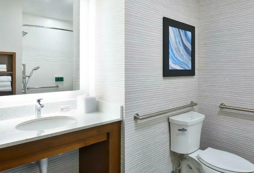 バルコニー付きスタンダードステューディオ, Residence Inn St. Petersburg Tierra Verde
