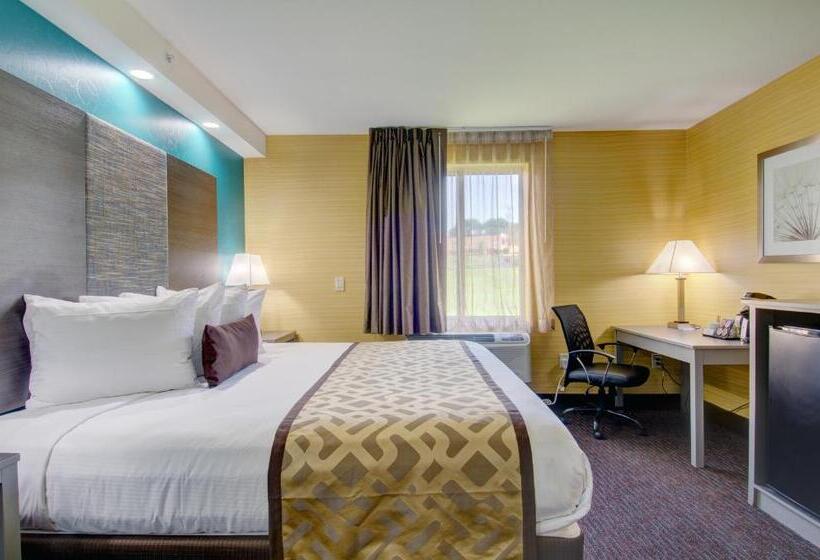 스탠다드 룸 킹사이즈 침대, Baymont By Wyndham Kingston Plymouth Bay