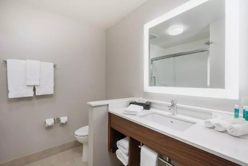 سوئیت 2 خوابه, Homewood Suites By Hilton San Antonio Riverwalk/downtown